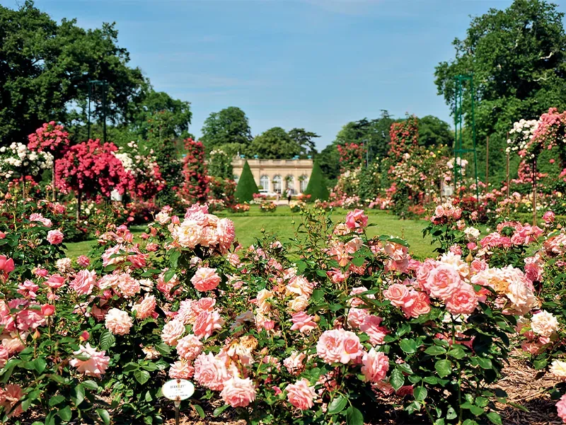 Parc des Buttes-Chaumont — Paris
