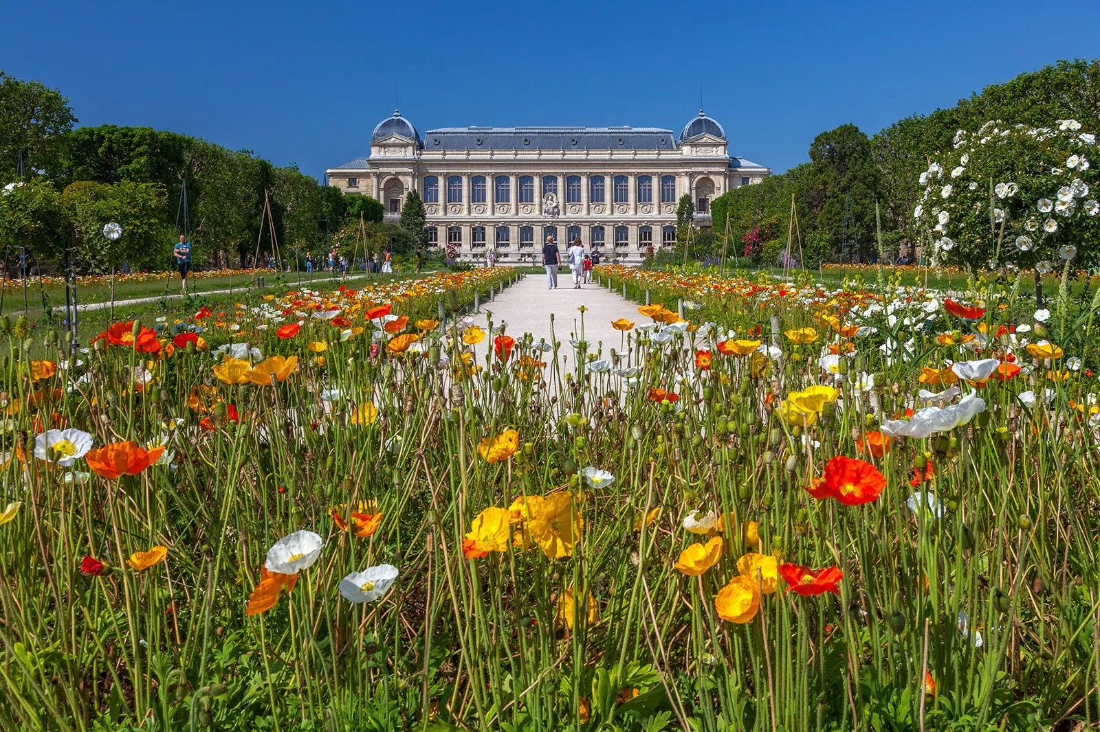 Jardin des Plantes — Paris